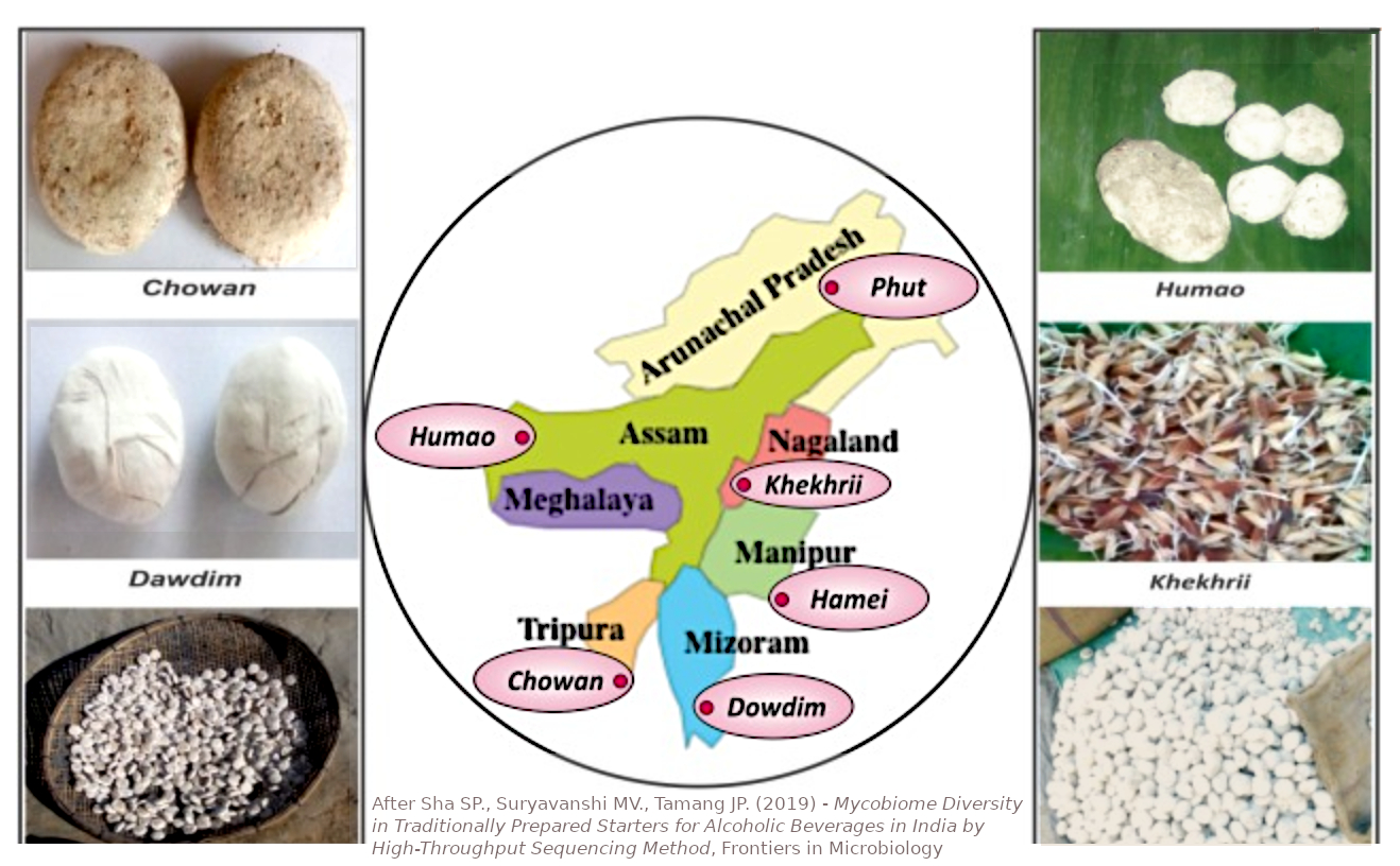 Ferments à bière du Nord de l'Inde - Sha & al. 2019